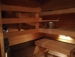 Helsinki sauna condominio Vanhaistentie