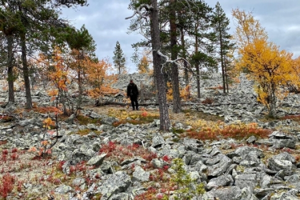 NON SOLO SAUNE...andiamo insieme a Sodankylä 