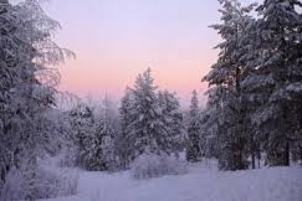 PRODUZIONE E VENDITA SAUNE FINLANDESI...a Natale regalati il relax!!!