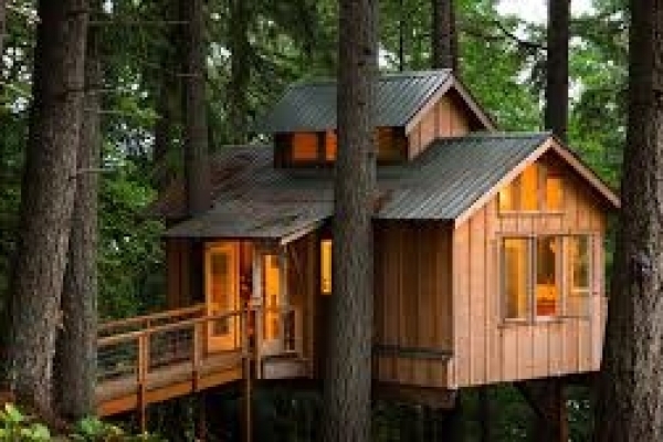 SAUNA DA ALBERO? Con Suomisauna puoi!
