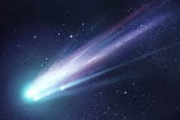 STELLA COMETA 2020