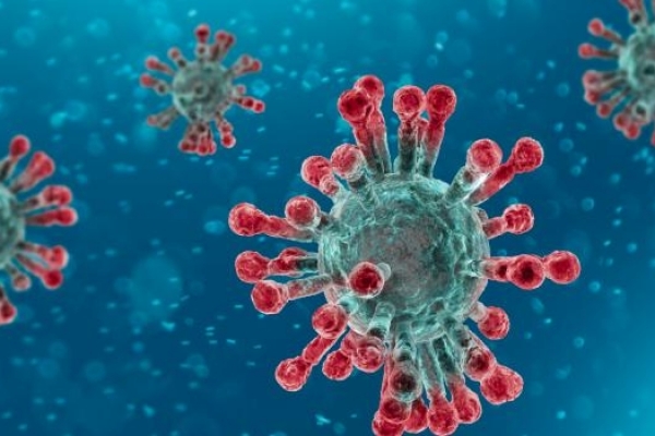 SAUNA FINLANDESE e Coronavirus