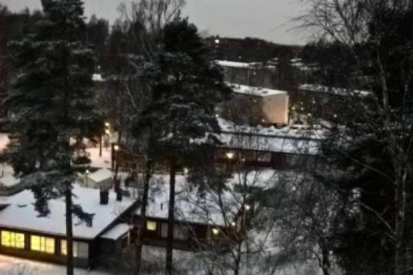 FINLANDIA DAL VIVO