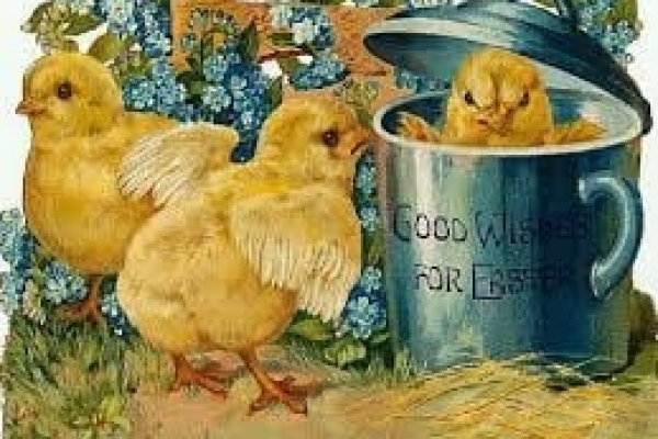 FELICE PASQUA A TUTTI GLI AMICI DI SUOMISAUNA