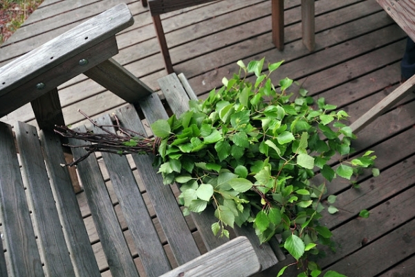 Piccole curiosità sui finlandesi...