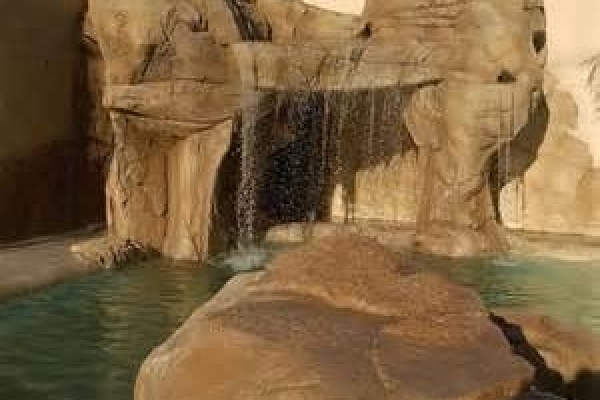 PROGETTO & COSTRUZIONE ROCCE ARTIFICIALI