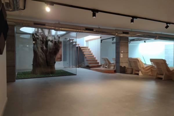 WELLNESS & DESIGN SPA