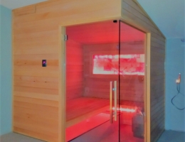 Sauna con vetrata