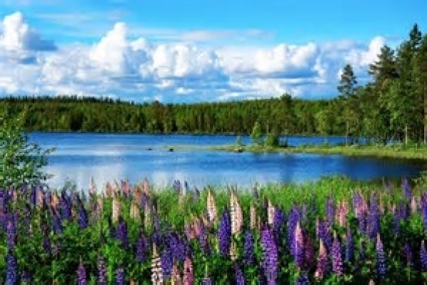 SUMMER IN FINLAND
