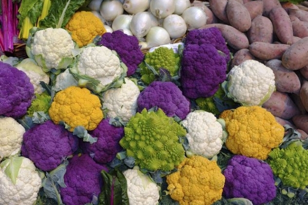 LA DIETA DELL'AUTUNNO DI SUOMISAUNA