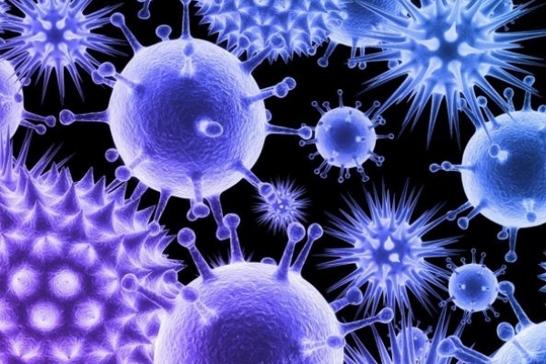 DIFESE IMMUNITARIE...MA COSA SONO?